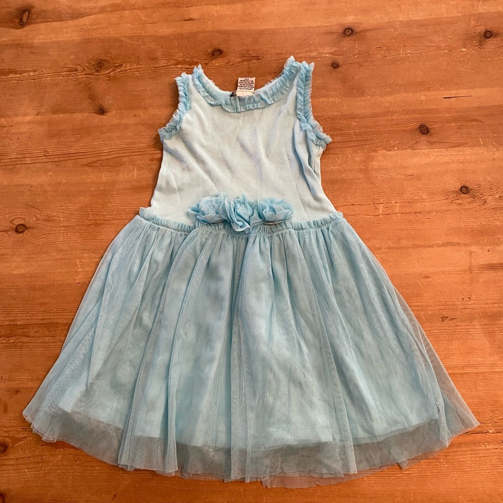 Tulle Twirling Dress